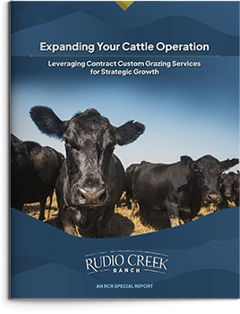 Expanding Your Cattle Operation